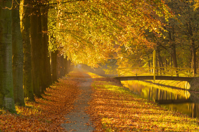 <i class='fa fa-user'></i>&nbsp;Niels72&nbsp;|  Beuk&nbsp; <i class='fa fa-eye'>&nbsp;113</i> &nbsp;<i class='fa fa-thumbs-up'>&nbsp;2</i> &nbsp; <i class='fa fa-comment-o'>&nbsp;8</i>