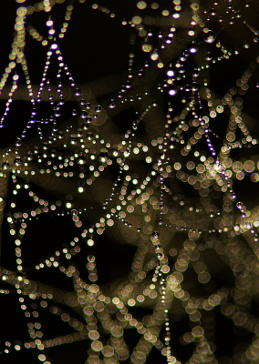 <i class='fa fa-user'></i>&nbsp;Nel R&nbsp;|  Web&nbsp; <i class='fa fa-eye'>&nbsp;63</i> &nbsp;<i class='fa fa-thumbs-up'>&nbsp;8</i> &nbsp; <i class='fa fa-comment-o'>&nbsp;7</i>