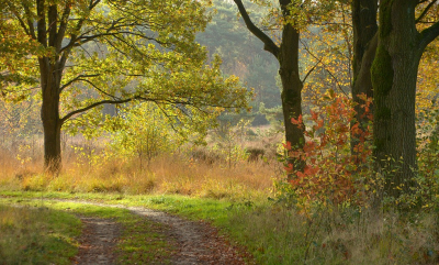 <i class='fa fa-user'></i>&nbsp;B.M.Schouten-Ruis&nbsp;|  Oude Buisse heide&nbsp; <i class='fa fa-eye'>&nbsp;90</i> &nbsp;<i class='fa fa-thumbs-up'>&nbsp;2</i> &nbsp; <i class='fa fa-comment-o'>&nbsp;3</i>