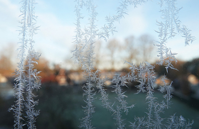 <i class='fa fa-user'></i>&nbsp;nelappelmelk&nbsp;|  Kristalslingers&nbsp; <i class='fa fa-eye'>&nbsp;98</i> &nbsp;<i class='fa fa-thumbs-up'>&nbsp;5</i> &nbsp; <i class='fa fa-comment-o'>&nbsp;10</i>