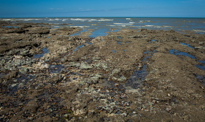 <i class='fa fa-user'></i>&nbsp;susan meijnders&nbsp;|  Zeebodem&nbsp; <i class='fa fa-eye'>&nbsp;70</i> &nbsp; <i class='fa fa-comment-o'>&nbsp;3</i>