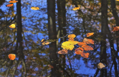 <i class='fa fa-user'></i>&nbsp;hesterb&nbsp;|  Beuk&nbsp; <i class='fa fa-eye'>&nbsp;77</i> &nbsp;<i class='fa fa-thumbs-up'>&nbsp;2</i> &nbsp; <i class='fa fa-comment-o'>&nbsp;3</i>