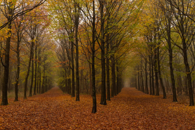 <i class='fa fa-user'></i>&nbsp;Niels72&nbsp;|  Y-splititsing&nbsp; <i class='fa fa-eye'>&nbsp;111</i> &nbsp;<i class='fa fa-thumbs-up'>&nbsp;9</i> &nbsp; <i class='fa fa-comment-o'>&nbsp;7</i>