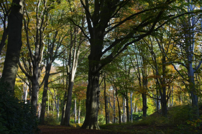 <i class='fa fa-user'></i>&nbsp;hesterb&nbsp;|  Beuk&nbsp; <i class='fa fa-eye'>&nbsp;78</i> &nbsp; <i class='fa fa-comment-o'>&nbsp;2</i>