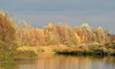<i class='fa fa-user'></i>&nbsp;mauritskoenen48&nbsp;|  Bossage langs Delta Schuitenbeek&nbsp; <i class='fa fa-eye'>&nbsp;77</i> &nbsp;<i class='fa fa-thumbs-up'>&nbsp;1</i> &nbsp; <i class='fa fa-comment-o'>&nbsp;4</i>