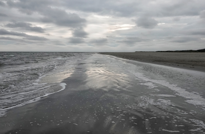 <i class='fa fa-user'></i>&nbsp;nelappelmelk&nbsp;|  Rust&nbsp; <i class='fa fa-eye'>&nbsp;72</i> &nbsp;<i class='fa fa-thumbs-up'>&nbsp;2</i> &nbsp; <i class='fa fa-comment-o'>&nbsp;3</i>