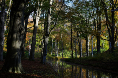 <i class='fa fa-user'></i>&nbsp;hesterb&nbsp;|  Beuk&nbsp; <i class='fa fa-eye'>&nbsp;92</i> &nbsp; <i class='fa fa-comment-o'>&nbsp;12</i>