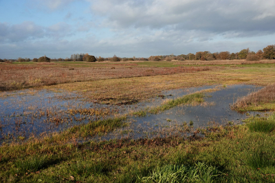 <i class='fa fa-user'></i>&nbsp;nelappelmelk&nbsp;|  Winterse kleuren&nbsp; <i class='fa fa-eye'>&nbsp;77</i> &nbsp; <i class='fa fa-comment-o'>&nbsp;1</i>