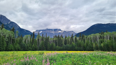 <i class='fa fa-user'></i>&nbsp;Vincent Rijnbende&nbsp;|  Mount Robson&nbsp; <i class='fa fa-eye'>&nbsp;61</i> &nbsp;<i class='fa fa-thumbs-up'>&nbsp;1</i> &nbsp; <i class='fa fa-comment-o'>&nbsp;3</i>