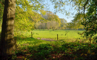 <i class='fa fa-user'></i>&nbsp;B.M.Schouten-Ruis&nbsp;|  Oude Buisse heide&nbsp; <i class='fa fa-eye'>&nbsp;96</i> &nbsp;<i class='fa fa-thumbs-up'>&nbsp;2</i> &nbsp; <i class='fa fa-comment-o'>&nbsp;6</i>