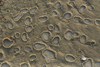 <i class='fa fa-user'></i>&nbsp;Nel R&nbsp;|  Langs de vloedlijn&nbsp; <i class='fa fa-eye'>&nbsp;109</i> &nbsp;<i class='fa fa-thumbs-up'>&nbsp;6</i> &nbsp; <i class='fa fa-comment-o'>&nbsp;13</i>