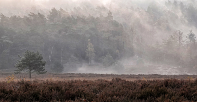 <i class='fa fa-user'></i>&nbsp;nelappelmelk&nbsp;|  Optrekkende mist&nbsp; <i class='fa fa-eye'>&nbsp;144</i> &nbsp;<i class='fa fa-thumbs-up'>&nbsp;13</i> &nbsp; <i class='fa fa-comment-o'>&nbsp;11</i>