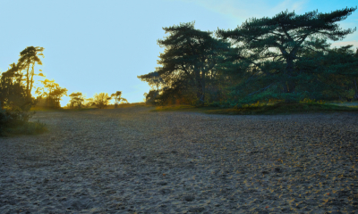 <i class='fa fa-user'></i>&nbsp;janvangastel&nbsp;|  Limitische heide bij ondergaande zon&nbsp; <i class='fa fa-eye'>&nbsp;78</i> &nbsp; <i class='fa fa-comment-o'>&nbsp;3</i>