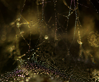 <i class='fa fa-user'></i>&nbsp;Nel R&nbsp;|  Web&nbsp; <i class='fa fa-eye'>&nbsp;95</i> &nbsp;<i class='fa fa-thumbs-up'>&nbsp;3</i> &nbsp; <i class='fa fa-comment-o'>&nbsp;6</i>