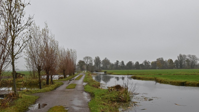 <i class='fa fa-user'></i>&nbsp;kooyammers&nbsp;|  Druilerig&nbsp; <i class='fa fa-eye'>&nbsp;74</i> &nbsp; <i class='fa fa-comment-o'>&nbsp;6</i>