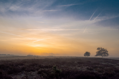 <i class='fa fa-user'></i>&nbsp;ErnovanDoorn&nbsp;|  Heide met bomen&nbsp; <i class='fa fa-eye'>&nbsp;112</i> &nbsp; <i class='fa fa-comment-o'>&nbsp;9</i>