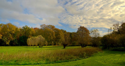 <i class='fa fa-user'></i>&nbsp;B.M.Schouten-Ruis&nbsp;|  Oude Buisse heide&nbsp; <i class='fa fa-eye'>&nbsp;86</i> &nbsp;<i class='fa fa-thumbs-up'>&nbsp;1</i> &nbsp; <i class='fa fa-comment-o'>&nbsp;8</i>