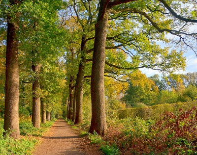 <i class='fa fa-user'></i>&nbsp;B.M.Schouten-Ruis&nbsp;|  Landgoed Wallstein Oude Buisse Heide&nbsp; <i class='fa fa-eye'>&nbsp;70</i> &nbsp; <i class='fa fa-comment-o'>&nbsp;1</i>