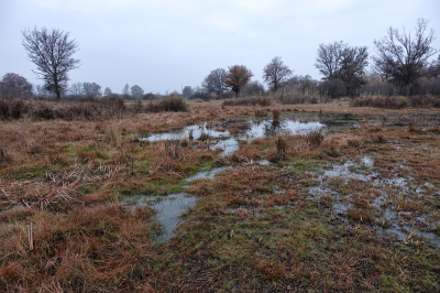 <i class='fa fa-user'></i>&nbsp;nelappelmelk&nbsp;|  Weinig water&nbsp; <i class='fa fa-eye'>&nbsp;109</i> &nbsp;<i class='fa fa-thumbs-up'>&nbsp;2</i> &nbsp; <i class='fa fa-comment-o'>&nbsp;2</i>