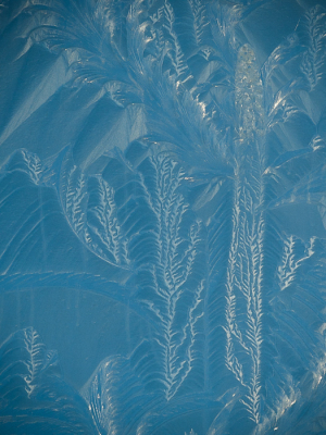 <i class='fa fa-user'></i>&nbsp;Truus Aletta Maan&nbsp;|  IJsbloemen&nbsp; <i class='fa fa-eye'>&nbsp;85</i> &nbsp;<i class='fa fa-thumbs-up'>&nbsp;3</i> &nbsp; <i class='fa fa-comment-o'>&nbsp;10</i>