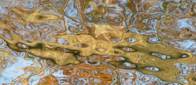 <i class='fa fa-user'></i>&nbsp;B.M.Schouten-Ruis&nbsp;|  Weerspiegeling van boom in het water van het Kralingse Bos&nbsp; <i class='fa fa-eye'>&nbsp;112</i> &nbsp;<i class='fa fa-thumbs-up'>&nbsp;10</i> &nbsp; <i class='fa fa-comment-o'>&nbsp;11</i>