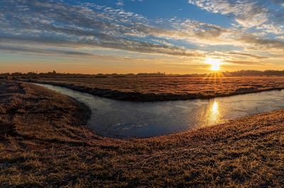 <i class='fa fa-user'></i>&nbsp;kiran&nbsp;|  Zonsopkomst in de polder&nbsp; <i class='fa fa-eye'>&nbsp;77</i> &nbsp;<i class='fa fa-thumbs-up'>&nbsp;1</i> &nbsp; <i class='fa fa-comment-o'>&nbsp;10</i>