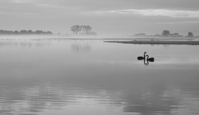 <i class='fa fa-user'></i>&nbsp;Nel R&nbsp;|  Opkomende mist&nbsp; <i class='fa fa-eye'>&nbsp;106</i> &nbsp;<i class='fa fa-thumbs-up'>&nbsp;10</i> &nbsp; <i class='fa fa-comment-o'>&nbsp;8</i>