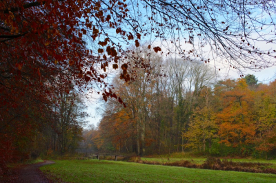 <i class='fa fa-user'></i>&nbsp;hesterb&nbsp;|  Zanderijvaart&nbsp; <i class='fa fa-eye'>&nbsp;68</i> &nbsp; <i class='fa fa-comment-o'>&nbsp;3</i>