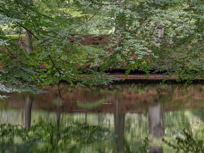 <i class='fa fa-user'></i>&nbsp;Tim Oord&nbsp;|  Zeer vroeg in de herfst&nbsp; <i class='fa fa-eye'>&nbsp;90</i> &nbsp; <i class='fa fa-comment-o'>&nbsp;1</i>