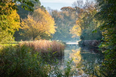 Uitzonderlijk warme, zonnige herfstdag in november, ideaal om er op uit te gaan. De lage middagzon zorgde voor harde schaduwen, maar liet de bomen in gele herfsttooi, waaronder een prachtige haagbeuk langs de waterkant, extra stralen. Er hing nog een lichte nevel over het water van het riviertje met de stapstenen, dat ook nog voor een mooie reflectie zorgde... Dat bepaalde allemaal mee de sfeer van dit doorkijkje in het Bijlmerweide park, n van mijn favoriete plekjes dicht bij huis.