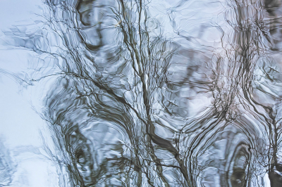 <i class='fa fa-user'></i>&nbsp;Truus Aletta Maan&nbsp;|  Weerspiegeling&nbsp; <i class='fa fa-eye'>&nbsp;73</i> &nbsp;<i class='fa fa-thumbs-up'>&nbsp;1</i> &nbsp; <i class='fa fa-comment-o'>&nbsp;6</i>