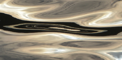 <i class='fa fa-user'></i>&nbsp;B.M.Schouten-Ruis&nbsp;|  Weerspiegeling in water van de Kr.Plas&nbsp; <i class='fa fa-eye'>&nbsp;105</i> &nbsp;<i class='fa fa-thumbs-up'>&nbsp;3</i> &nbsp; <i class='fa fa-comment-o'>&nbsp;6</i>