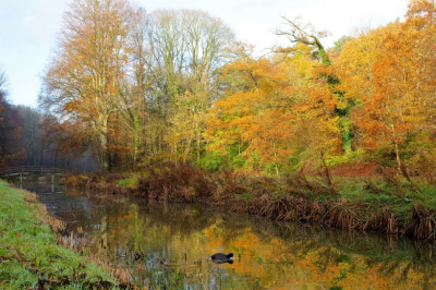 <i class='fa fa-user'></i>&nbsp;hesterb&nbsp;|  Zanderijvaart&nbsp; <i class='fa fa-eye'>&nbsp;90</i> &nbsp; <i class='fa fa-comment-o'>&nbsp;6</i>