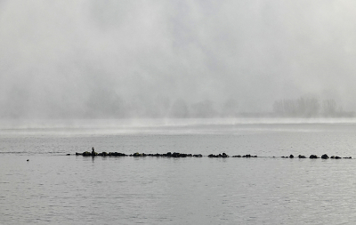 <i class='fa fa-user'></i>&nbsp;nelappelmelk&nbsp;|  Opkomende mist&nbsp; <i class='fa fa-eye'>&nbsp;81</i> &nbsp;<i class='fa fa-thumbs-up'>&nbsp;1</i> &nbsp; <i class='fa fa-comment-o'>&nbsp;3</i>