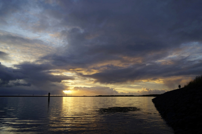 <i class='fa fa-user'></i>&nbsp;Nel R&nbsp;|  Bijna donker&nbsp; <i class='fa fa-eye'>&nbsp;85</i> &nbsp;<i class='fa fa-thumbs-up'>&nbsp;4</i> &nbsp; <i class='fa fa-comment-o'>&nbsp;9</i>