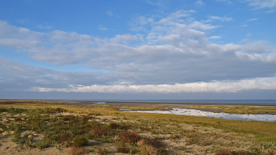 <i class='fa fa-user'></i>&nbsp;kooyammers&nbsp;|  Kust Kwade Hoek&nbsp; <i class='fa fa-eye'>&nbsp;59</i> &nbsp;<i class='fa fa-thumbs-up'>&nbsp;1</i> &nbsp; <i class='fa fa-comment-o'>&nbsp;2</i>