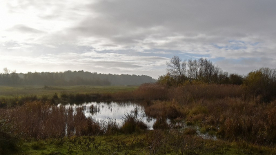 <i class='fa fa-user'></i>&nbsp;kooyammers&nbsp;|  Waterleidinggebied Goeree Overflakkee&nbsp; <i class='fa fa-eye'>&nbsp;66</i> &nbsp; <i class='fa fa-comment-o'>&nbsp;5</i>