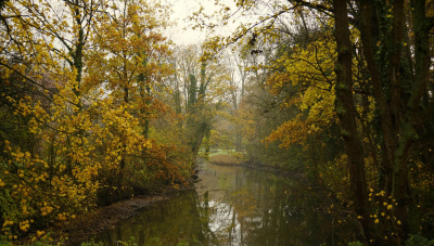 <i class='fa fa-user'></i>&nbsp;Nel R&nbsp;|  Doorkijkje&nbsp; <i class='fa fa-eye'>&nbsp;58</i> &nbsp; <i class='fa fa-comment-o'>&nbsp;9</i>