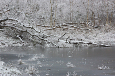 <i class='fa fa-user'></i>&nbsp;Paul Vandebroek&nbsp;|  Winter&nbsp; <i class='fa fa-eye'>&nbsp;99</i> &nbsp;<i class='fa fa-thumbs-up'>&nbsp;1</i> &nbsp; <i class='fa fa-comment-o'>&nbsp;8</i>