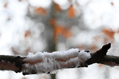 <i class='fa fa-user'></i>&nbsp;Eric Gibcus&nbsp;|  IJshaar&nbsp; <i class='fa fa-eye'>&nbsp;92</i> &nbsp; <i class='fa fa-comment-o'>&nbsp;4</i>