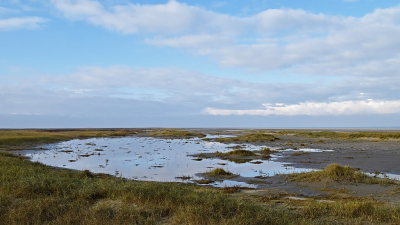 <i class='fa fa-user'></i>&nbsp;kooyammers&nbsp;|  Kust Kwade Hoek II&nbsp; <i class='fa fa-eye'>&nbsp;57</i> &nbsp; <i class='fa fa-comment-o'>&nbsp;3</i>