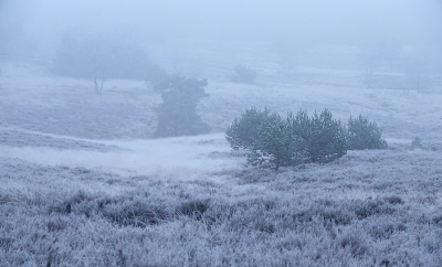 <i class='fa fa-user'></i>&nbsp;nelappelmelk&nbsp;|  Winterse speldenprik&nbsp; <i class='fa fa-eye'>&nbsp;103</i> &nbsp;<i class='fa fa-thumbs-up'>&nbsp;2</i> &nbsp; <i class='fa fa-comment-o'>&nbsp;11</i>