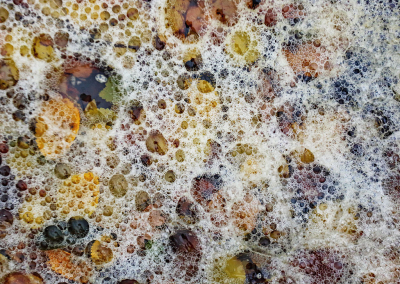 <i class='fa fa-user'></i>&nbsp;Pieter  LJ&nbsp;|  Bladeren in schuim&nbsp; <i class='fa fa-eye'>&nbsp;79</i> &nbsp;<i class='fa fa-thumbs-up'>&nbsp;5</i> &nbsp; <i class='fa fa-comment-o'>&nbsp;3</i>