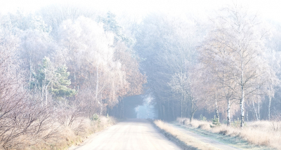 <i class='fa fa-user'></i>&nbsp;nelappelmelk&nbsp;|  Winterse omstandigheden&nbsp; <i class='fa fa-eye'>&nbsp;159</i> &nbsp;<i class='fa fa-thumbs-up'>&nbsp;11</i> &nbsp; <i class='fa fa-comment-o'>&nbsp;12</i>