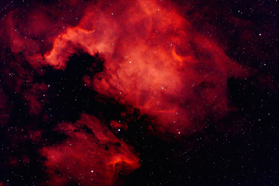 <i class='fa fa-user'></i>&nbsp;Bertus&nbsp;|  Noordamerika nevel&nbsp; <i class='fa fa-eye'>&nbsp;85</i> &nbsp;<i class='fa fa-thumbs-up'>&nbsp;2</i> &nbsp; <i class='fa fa-comment-o'>&nbsp;7</i>