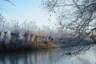 <i class='fa fa-user'></i>&nbsp;hesterb&nbsp;|  Brouwerskolk&nbsp; <i class='fa fa-eye'>&nbsp;102</i> &nbsp; <i class='fa fa-comment-o'>&nbsp;9</i>