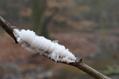 <i class='fa fa-user'></i>&nbsp;Eric Gibcus&nbsp;|  IJshaar&nbsp; <i class='fa fa-eye'>&nbsp;66</i> &nbsp; <i class='fa fa-comment-o'>&nbsp;3</i>