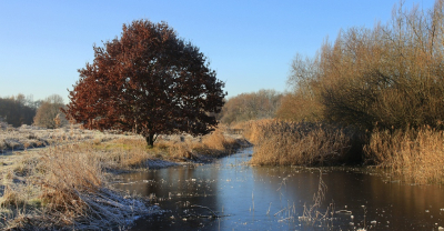 <i class='fa fa-user'></i>&nbsp;Tineke Strijbosch&nbsp;|  Winterlandschap&nbsp; <i class='fa fa-eye'>&nbsp;92</i> &nbsp;<i class='fa fa-thumbs-up'>&nbsp;1</i> &nbsp; <i class='fa fa-comment-o'>&nbsp;8</i>