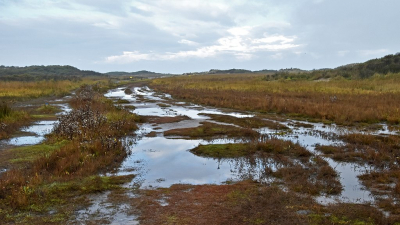 <i class='fa fa-user'></i>&nbsp;kooyammers&nbsp;|  Volop Water&nbsp; <i class='fa fa-eye'>&nbsp;70</i> &nbsp;<i class='fa fa-thumbs-up'>&nbsp;1</i> &nbsp; <i class='fa fa-comment-o'>&nbsp;5</i>