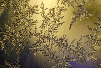 <i class='fa fa-user'></i>&nbsp;Nel R&nbsp;|  IJsbloemen&nbsp; <i class='fa fa-eye'>&nbsp;133</i> &nbsp;<i class='fa fa-thumbs-up'>&nbsp;8</i> &nbsp; <i class='fa fa-comment-o'>&nbsp;11</i>